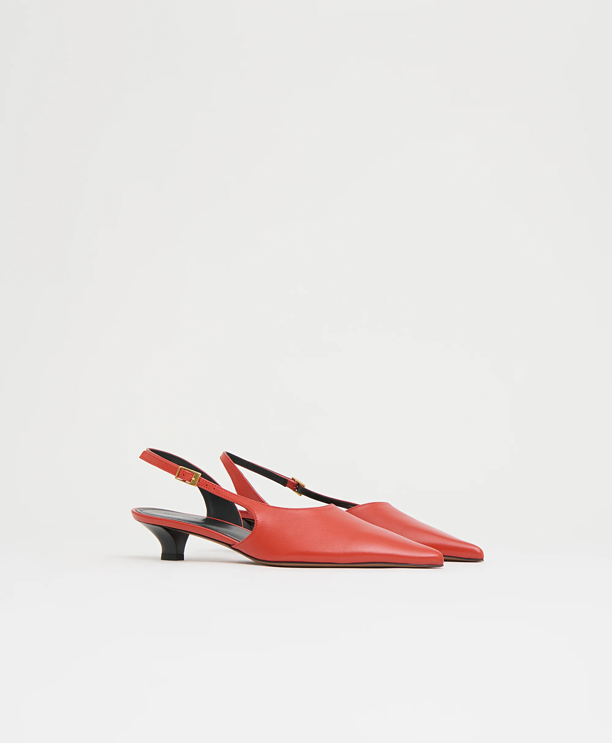 Anna Kitten - Pomodoro - Image 3