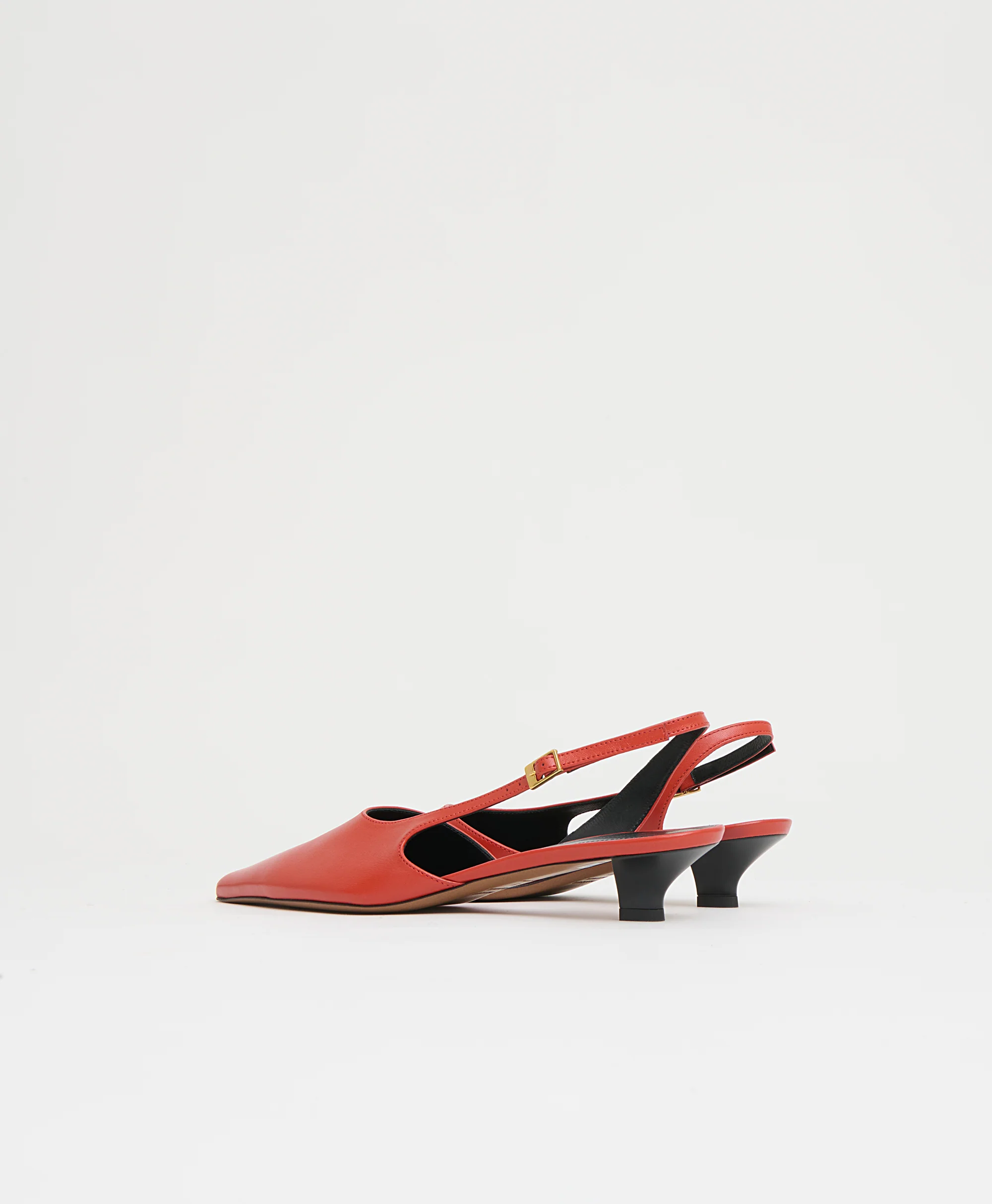Anna Kitten - Pomodoro - Image 4